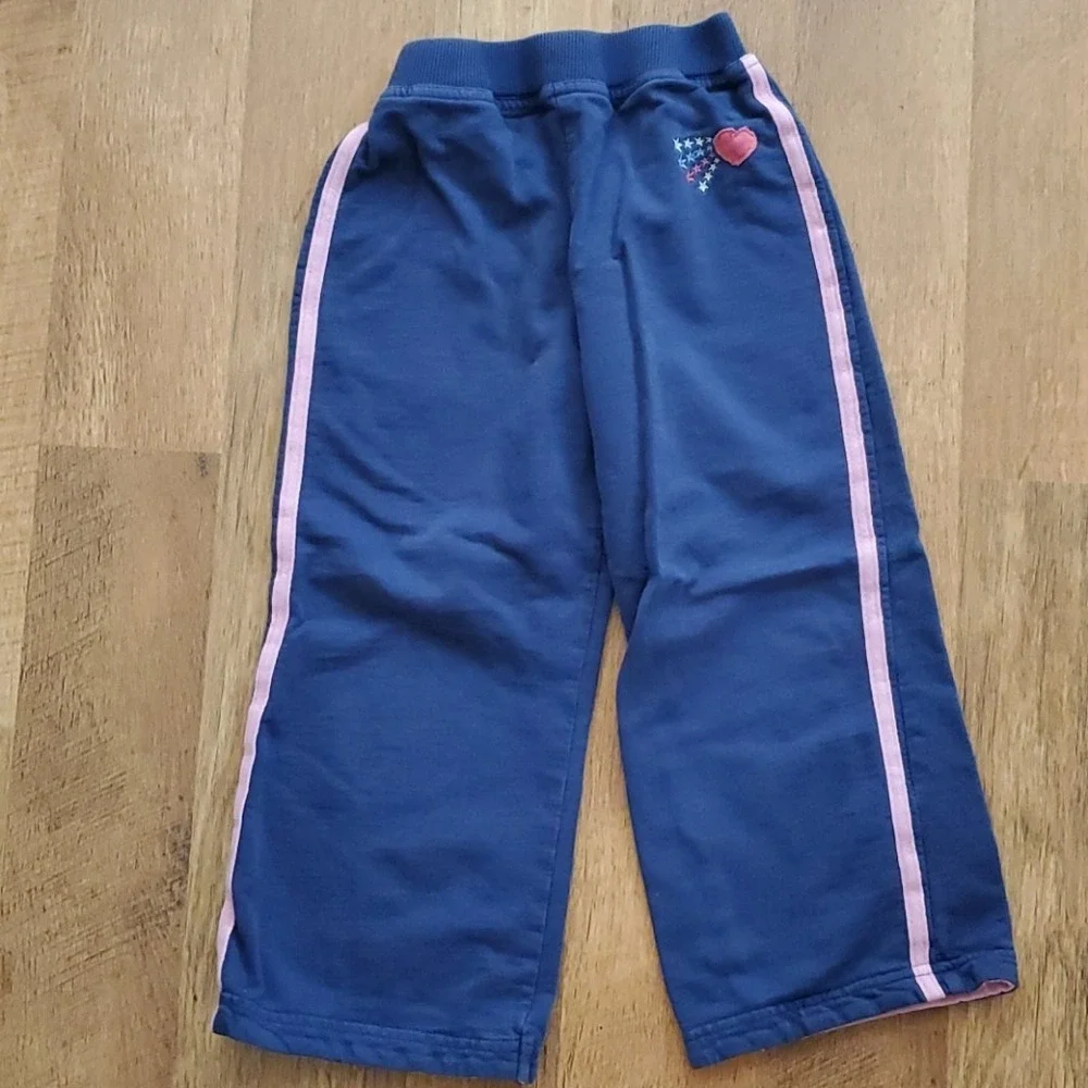 OshKosh Girls Purple Long Sleeve Birds Shirt with Pants Outfit‎ Size 4